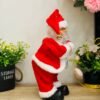 Santa Claus Christmas decorations