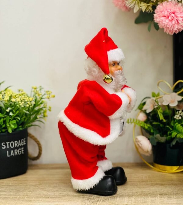 Santa Claus Christmas decorations